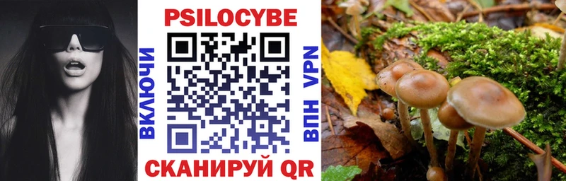 Псилоцибиновые грибы Psilocybe  Купить  Фрязино 